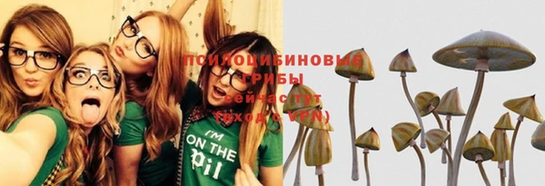 мяу мяу кристалл Переславль-Залесский