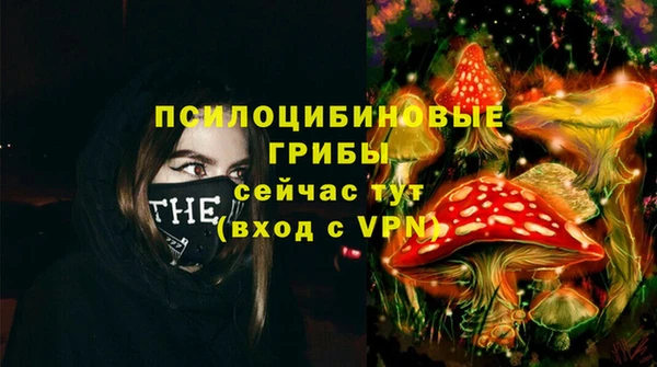 амф Пересвет